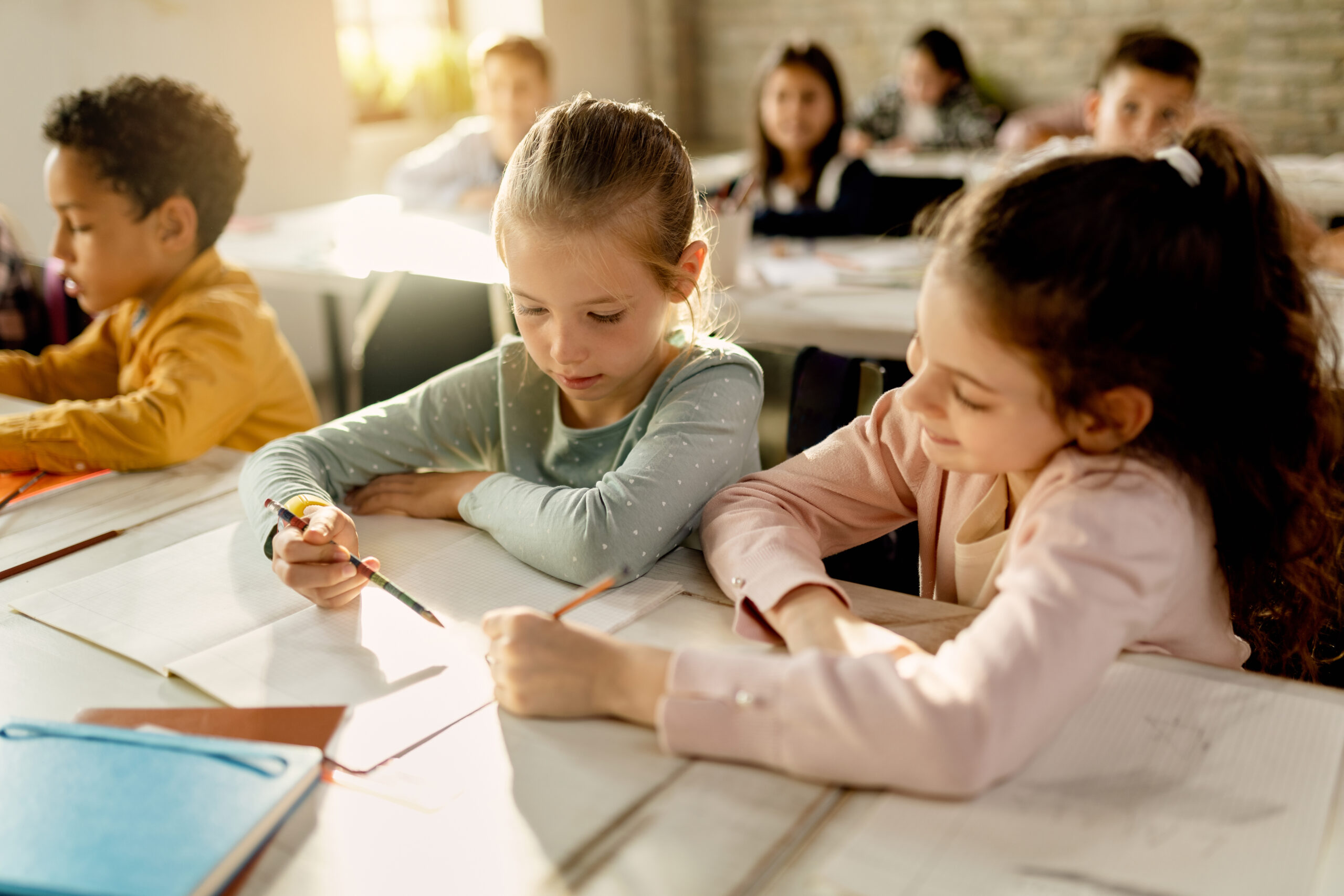 Female classmates learning together at their desk during a class at elementary school.